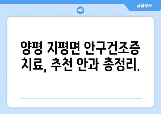 경기도 양평군 지평면 안구건조증 안과 추천 잘하는 곳 총정리