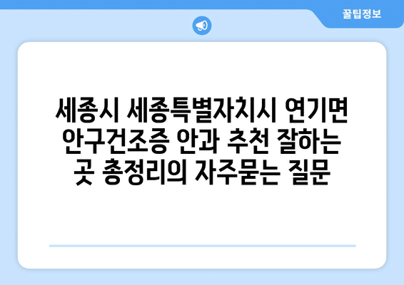 세종시 세종특별자치시 연기면 안구건조증 안과 추천 잘하는 곳 총정리