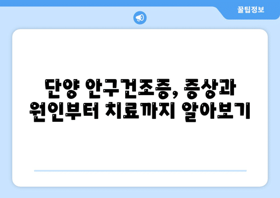 충청북도 단양군 단양읍 안구건조증 안과 추천 잘하는 곳 총정리