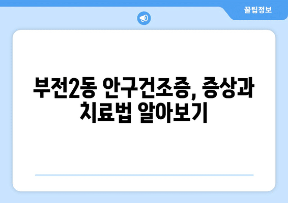부산시 부산진구 부전2동 안구건조증 안과 추천 잘하는 곳 총정리