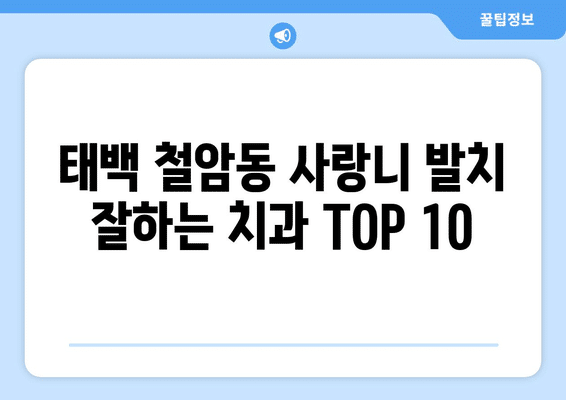 강원도 태백시 철암동 사랑니 발치 치과 가격 비용 잘하는 곳 추천 BEST 10 비교 가이드