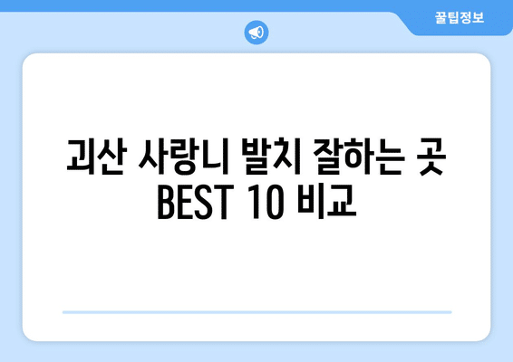 충청북도 괴산군 괴산읍 사랑니 발치 치과 가격 비용 잘하는 곳 추천 BEST 10 비교 가이드