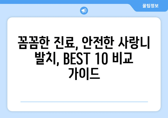 세종시 세종특별자치시 전의면 사랑니 발치 치과 가격 비용 잘하는 곳 추천 BEST 10 비교 가이드