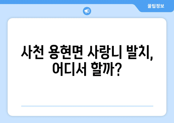 경상남도 사천시 용현면 사랑니 발치 치과 가격 비용 잘하는 곳 추천 BEST 10 비교 가이드