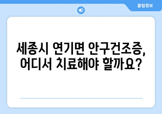 세종시 세종특별자치시 연기면 안구건조증 안과 추천 잘하는 곳 총정리