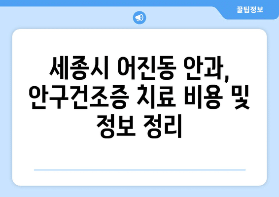 세종시 세종특별자치시 어진동 안구건조증 안과 추천 잘하는 곳 총정리