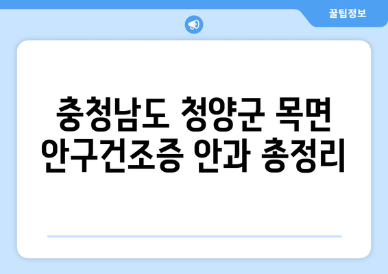 충청남도 청양군 목면 안구건조증 안과 추천 잘하는 곳 총정리