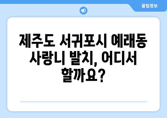 제주도 서귀포시 예래동 사랑니 발치 치과 가격 비용 잘하는 곳 추천 BEST 10 비교 가이드