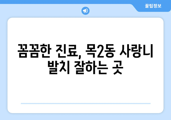 서울시 양천구 목2동 사랑니 발치 치과 가격 비용 잘하는 곳 추천 BEST 10 비교 가이드
