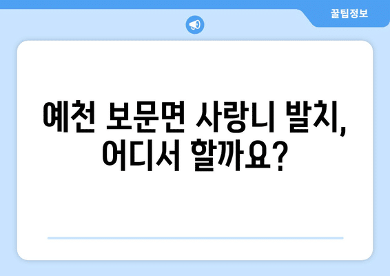 경상북도 예천군 보문면 사랑니 발치 치과 가격 비용 잘하는 곳 추천 BEST 10 비교 가이드