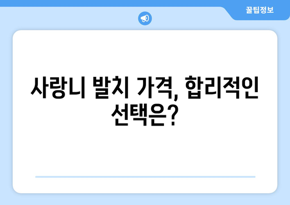 전라북도 고창군 성송면 사랑니 발치 치과 가격 비용 잘하는 곳 추천 BEST 10 비교 가이드