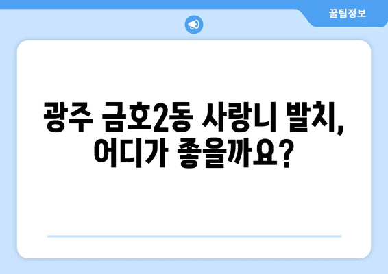 광주시 서구 금호2동 사랑니 발치 치과 가격 비용 잘하는 곳 추천 BEST 10 비교 가이드