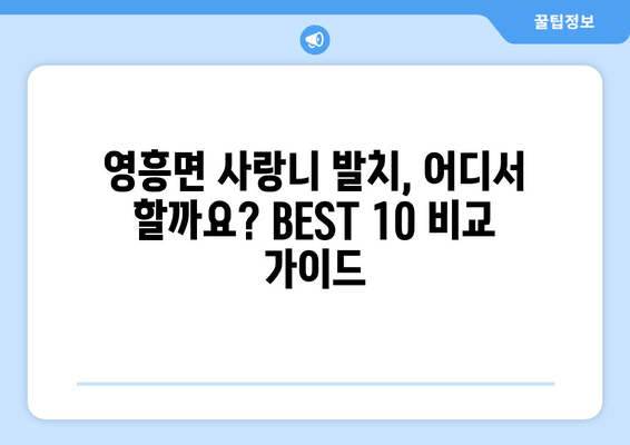 인천시 옹진군 영흥면 사랑니 발치 치과 가격 비용 잘하는 곳 추천 BEST 10 비교 가이드