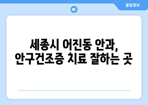 세종시 세종특별자치시 어진동 안구건조증 안과 추천 잘하는 곳 총정리