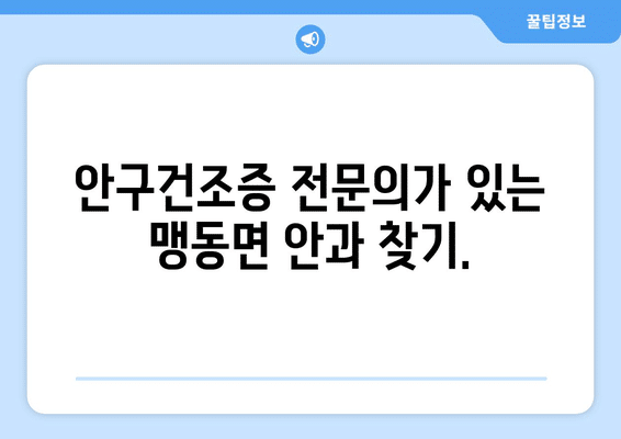 충청북도 음성군 맹동면 안구건조증 안과 추천 잘하는 곳 총정리