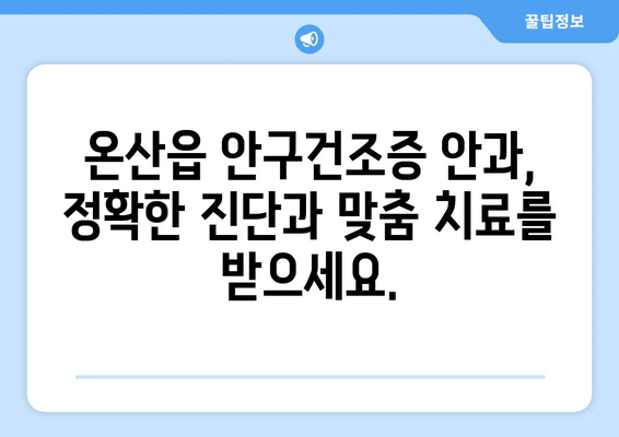 울산시 울주군 온산읍 안구건조증 안과 추천 잘하는 곳 총정리