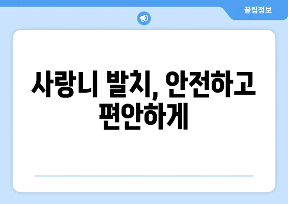 서울시 동대문구 회기동 사랑니 발치 치과 가격 비용 잘하는 곳 추천 BEST 10 비교 가이드