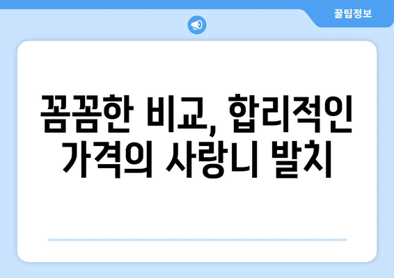 전라남도 장흥군 장동면 사랑니 발치 치과 가격 비용 잘하는 곳 추천 BEST 10 비교 가이드