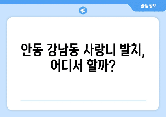 경상북도 안동시 강남동 사랑니 발치 치과 가격 비용 잘하는 곳 추천 BEST 10 비교 가이드