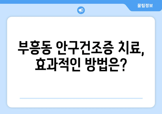 전라남도 목포시 부흥동 안구건조증 안과 추천 잘하는 곳 총정리