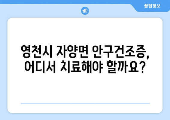 경상북도 영천시 자양면 안구건조증 안과 추천 잘하는 곳 총정리