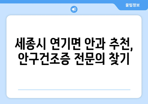 세종시 세종특별자치시 연기면 안구건조증 안과 추천 잘하는 곳 총정리
