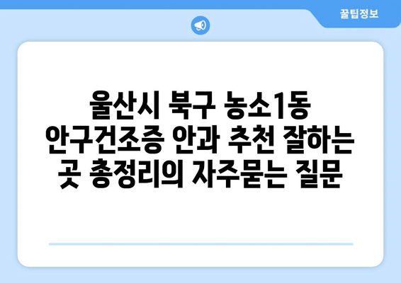 울산시 북구 농소1동 안구건조증 안과 추천 잘하는 곳 총정리