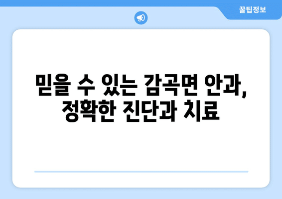 충청북도 음성군 감곡면 안구건조증 안과 추천 잘하는 곳 총정리