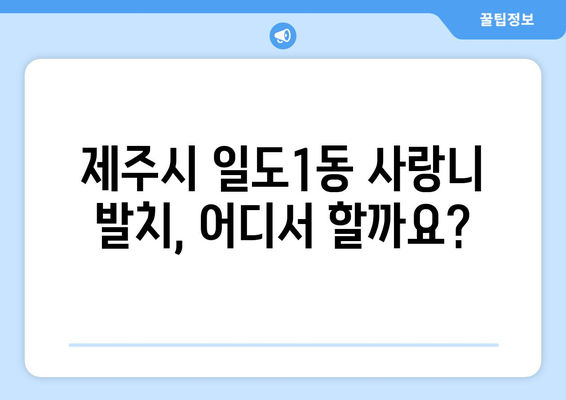 제주도 제주시 일도1동 사랑니 발치 치과 가격 비용 잘하는 곳 추천 BEST 10 비교 가이드