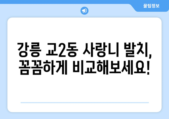 강원도 강릉시 교2동 사랑니 발치 치과 가격 비용 잘하는 곳 추천 BEST 10 비교 가이드