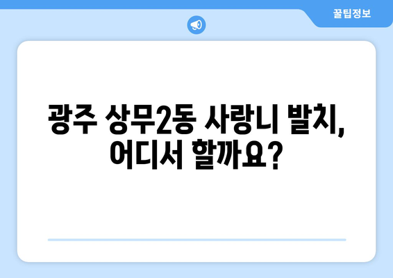 광주시 서구 상무2동 사랑니 발치 치과 가격 비용 잘하는 곳 추천 BEST 10 비교 가이드
