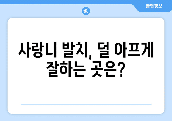 전라남도 순천시 풍덕동 사랑니 발치 치과 가격 비용 잘하는 곳 추천 BEST 10 비교 가이드