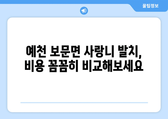 경상북도 예천군 보문면 사랑니 발치 치과 가격 비용 잘하는 곳 추천 BEST 10 비교 가이드