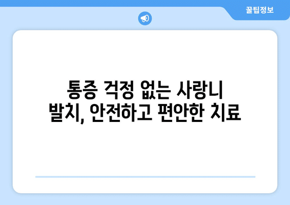 경기도 파주시 군내면 사랑니 발치 치과 가격 비용 잘하는 곳 추천 BEST 10 비교 가이드