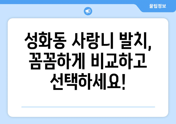 충청북도 청주시 서원구 성화동 사랑니 발치 치과 가격 비용 잘하는 곳 추천 BEST 10 비교 가이드