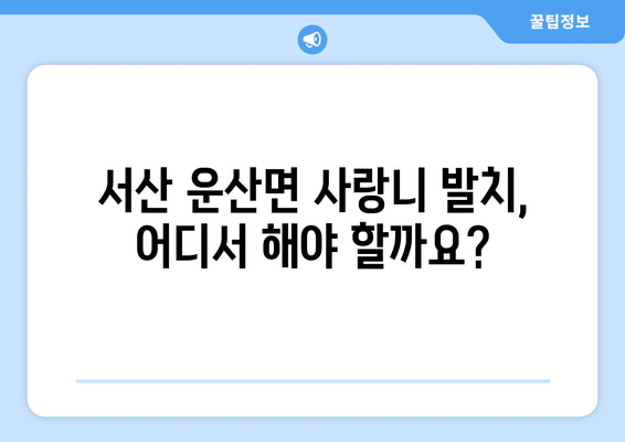 충청남도 서산시 운산면 사랑니 발치 치과 가격 비용 잘하는 곳 추천 BEST 10 비교 가이드