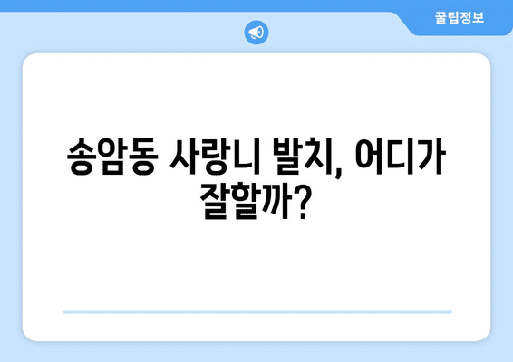 광주시 남구 송암동 사랑니 발치 치과 가격 비용 잘하는 곳 추천 BEST 10 비교 가이드