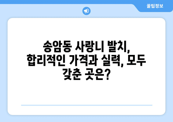 광주시 남구 송암동 사랑니 발치 치과 가격 비용 잘하는 곳 추천 BEST 10 비교 가이드