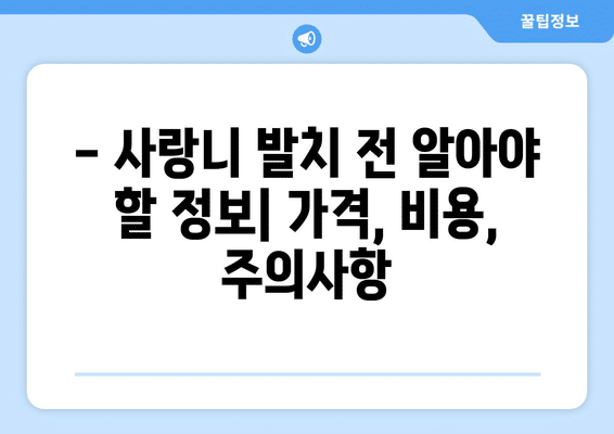 광주시 서구 화정3동 사랑니 발치 치과 가격 비용 잘하는 곳 추천 BEST 10 비교 가이드
