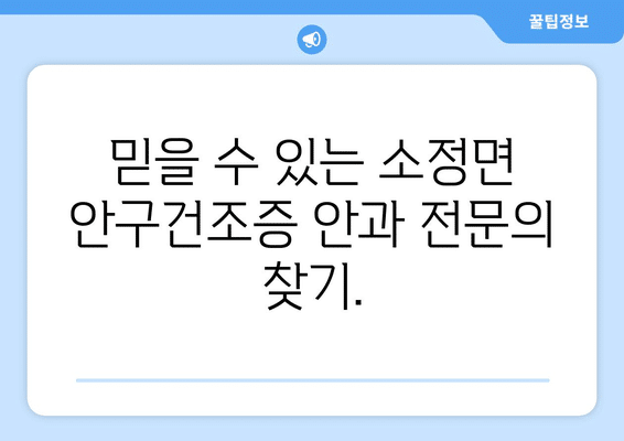 세종시 세종특별자치시 소정면 안구건조증 안과 추천 잘하는 곳 총정리