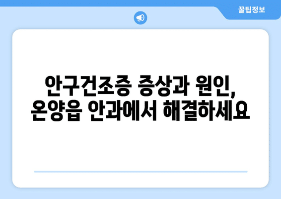 울산시 울주군 온양읍 안구건조증 안과 추천 잘하는 곳 총정리
