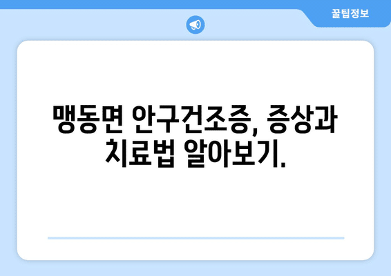 충청북도 음성군 맹동면 안구건조증 안과 추천 잘하는 곳 총정리