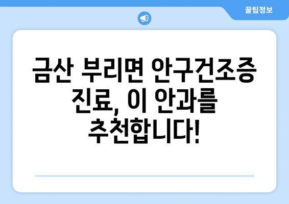 충청남도 금산군 부리면 안구건조증 안과 추천 잘하는 곳 총정리