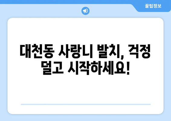 제주도 서귀포시 대천동 사랑니 발치 치과 가격 비용 잘하는 곳 추천 BEST 10 비교 가이드