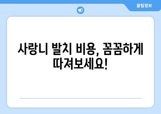 광주시 남구 송암동 사랑니 발치 치과 가격 비용 잘하는 곳 추천 BEST 10 비교 가이드