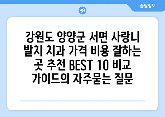 강원도 양양군 서면 사랑니 발치 치과 가격 비용 잘하는 곳 추천 BEST 10 비교 가이드