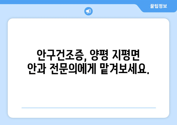 경기도 양평군 지평면 안구건조증 안과 추천 잘하는 곳 총정리