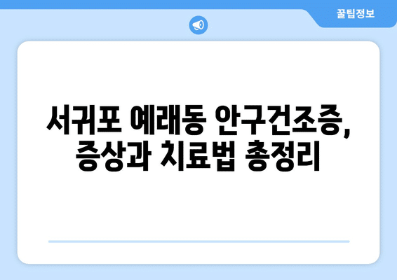 제주도 서귀포시 예래동 안구건조증 안과 추천 잘하는 곳 총정리