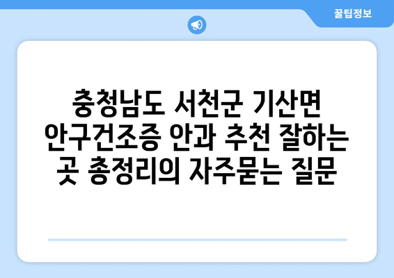 충청남도 서천군 기산면 안구건조증 안과 추천 잘하는 곳 총정리