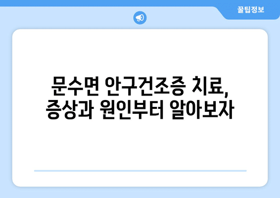경상북도 영주시 문수면 안구건조증 안과 추천 잘하는 곳 총정리